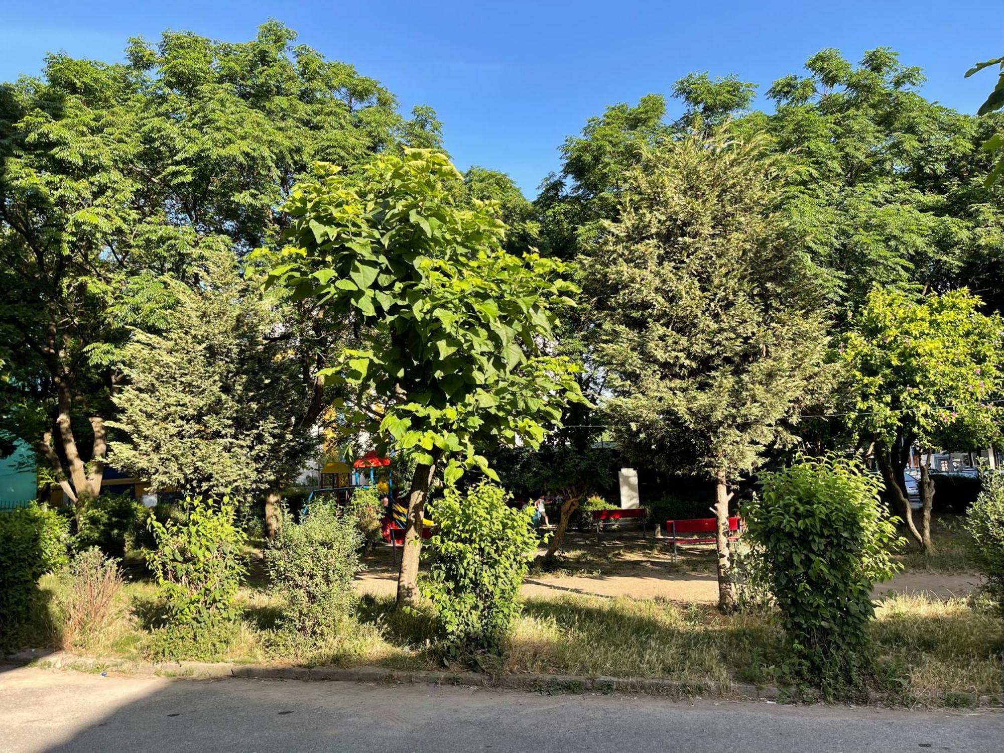 Nos Luxury Rooms Shkodër Esterno foto